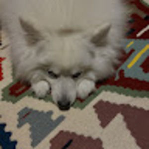 Meet your Posher, Katayoon